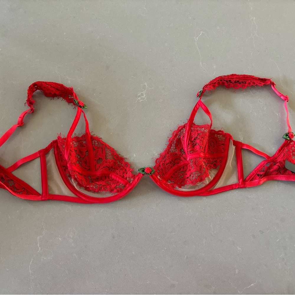 For Love And Lemons Scarlet Lace Bra